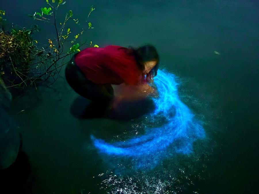 Photo of Others in Kumbalangi