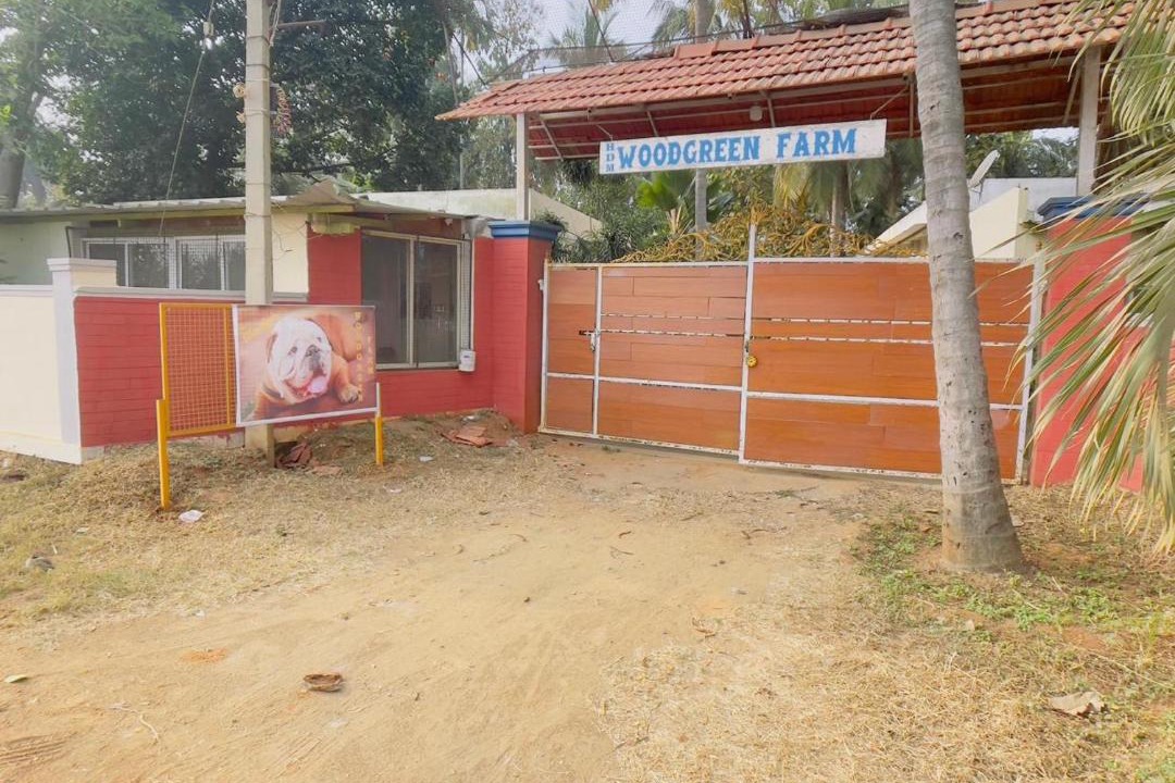 Photo of Others in Kanakapura