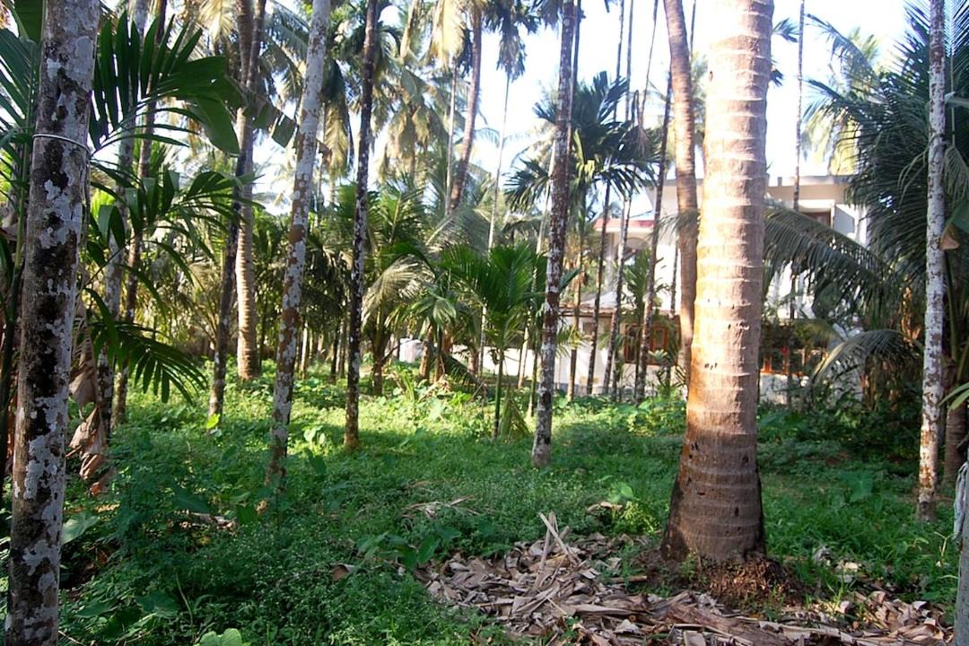 Photo of Others in Saligrama