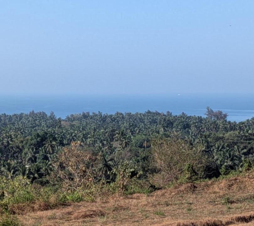 Photo of Others in Ganpatipule
