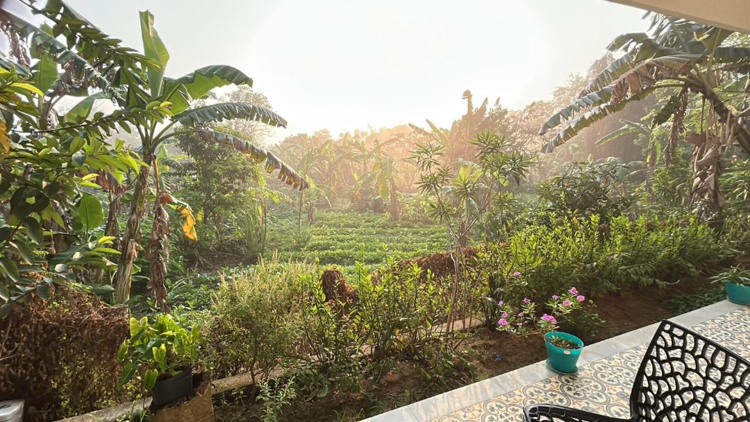 Photo of Others in Auroville