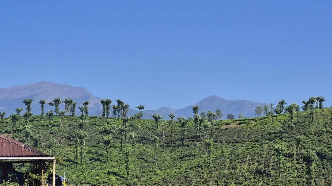 Photo of Others in Valparai