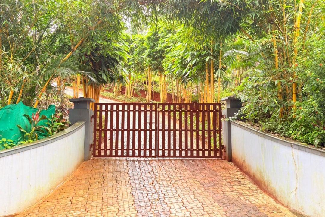 Photo of Others in Mananthavady