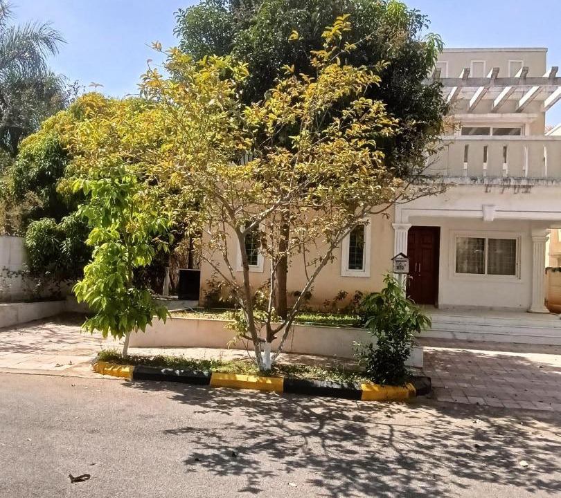 Photo of Others in Ibrahimpatan