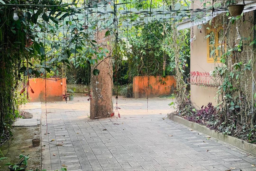 Photo of Others in Kalpetta