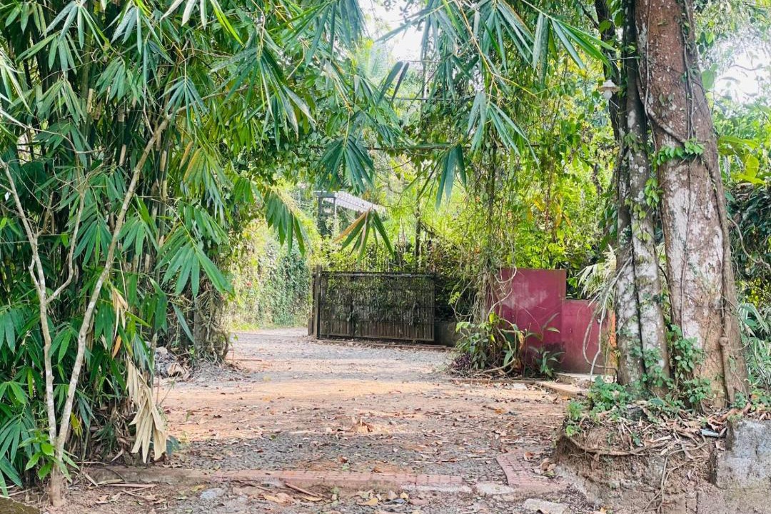 Photo of Others in Kalpetta