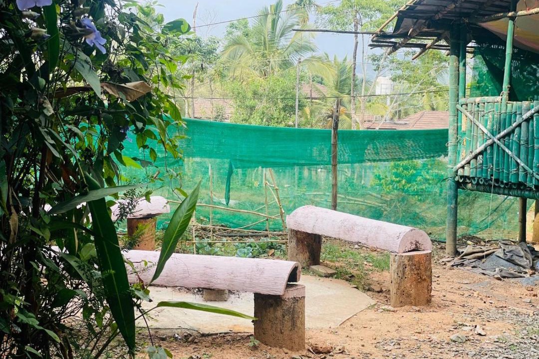 Photo of Others in Kalpetta