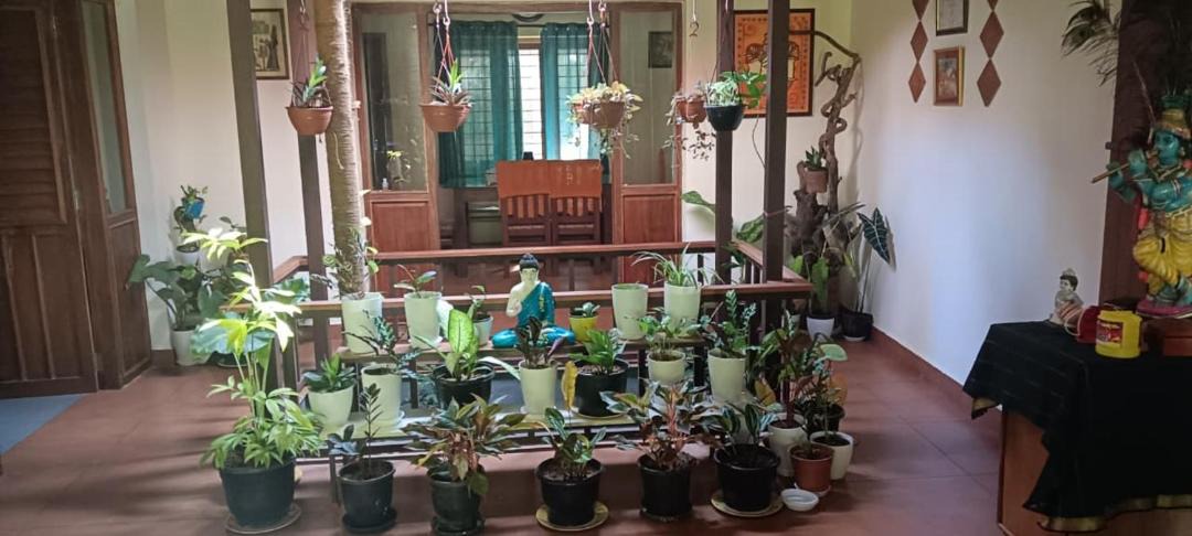 Photo of Others in Kannur