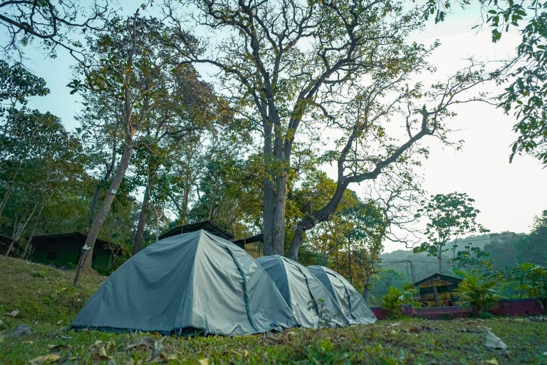 Photo of Others in Dandeli