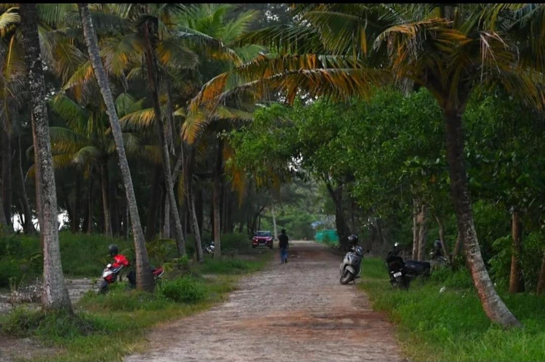 Photo of Others in Mararikulam