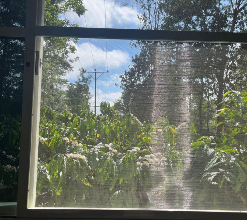 Photo of Patio Balcony in Mudigere