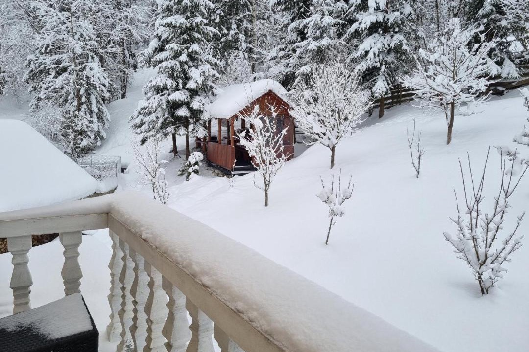 Photo of Patio Balcony in Borsa