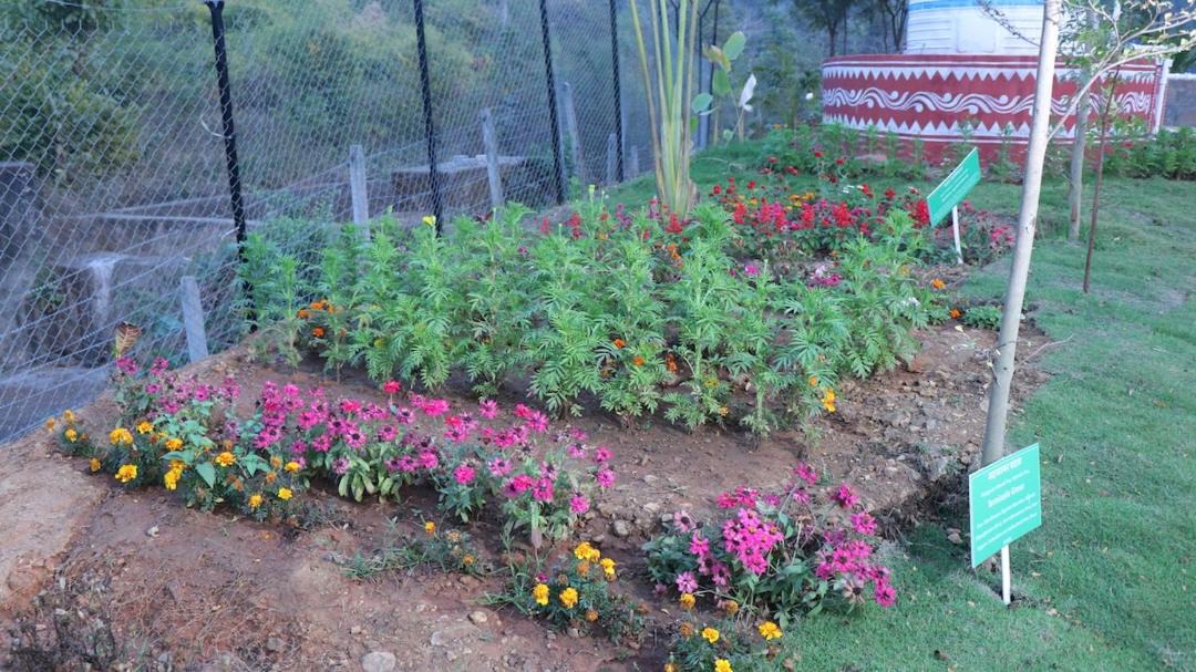 Photo of Outdoor in Sambalpur
