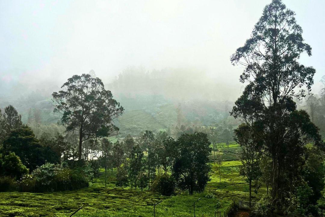 Photo of Others in Kotagiri