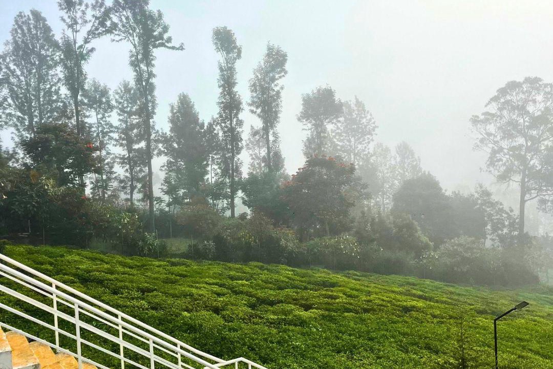 Photo of Others in Kotagiri