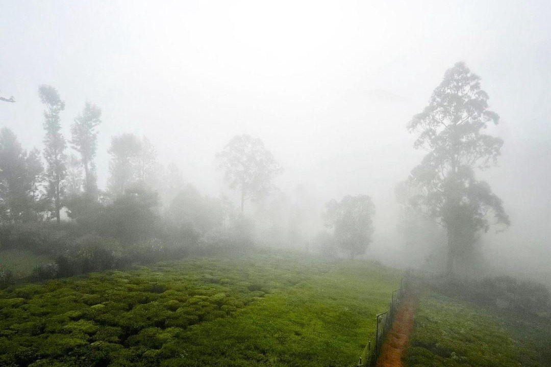 Photo of Others in Kotagiri