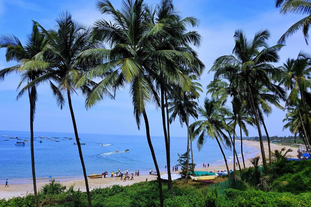 Photo of Others in Anjuna