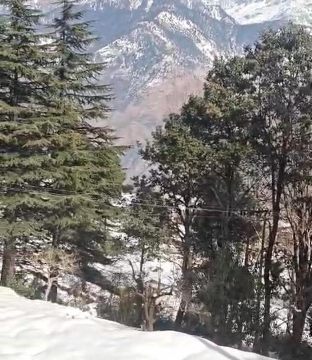 Photo of Others in Munsyari