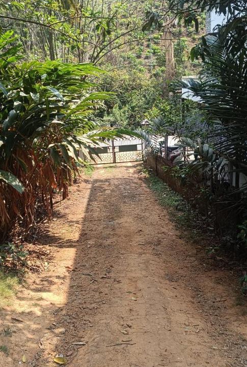 Photo of Others in Gudalur