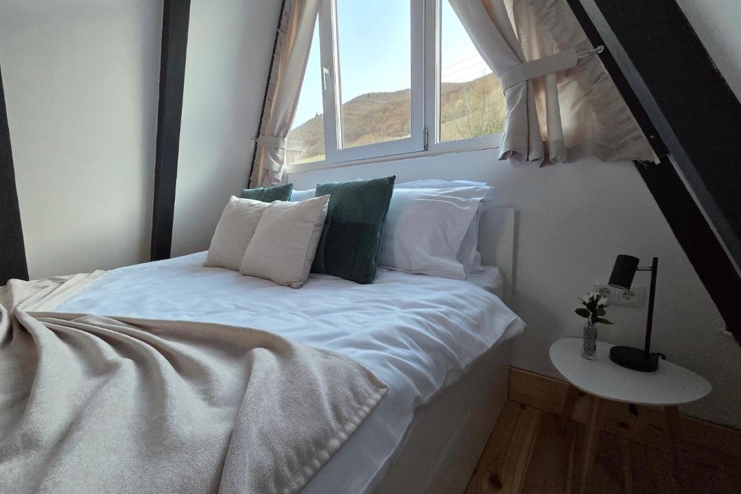 Photo of Bedroom in Gura Raului