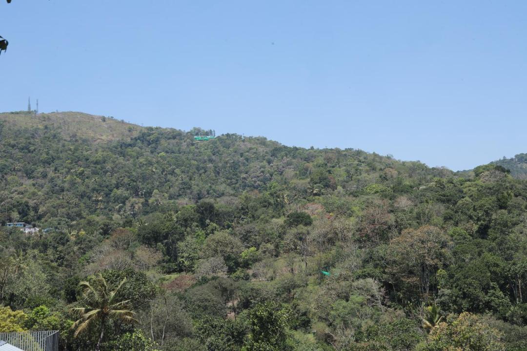 Photo of Others in Thekkady