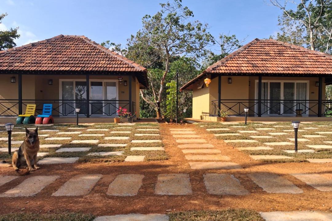 Photo of Others in Mananthavady
