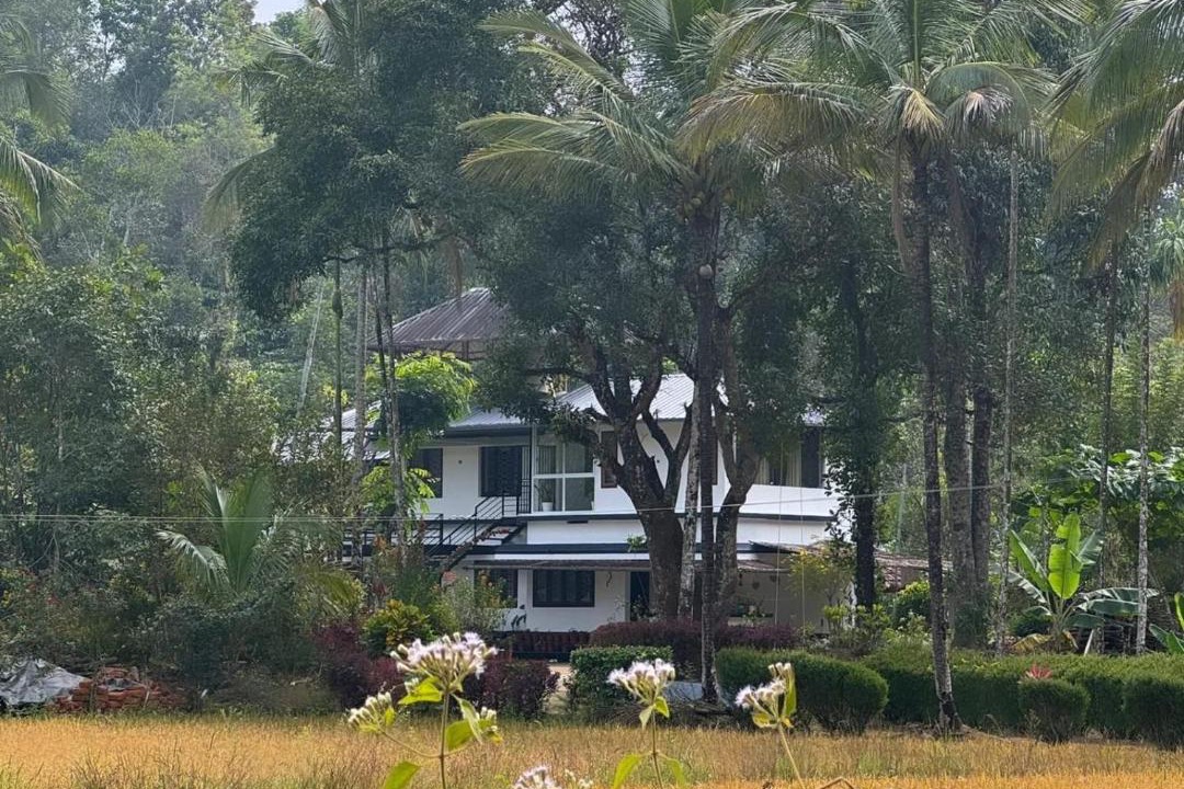 Photo of Others in Mananthavady