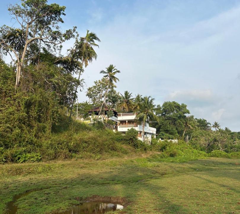 Photo of Others in Varkala