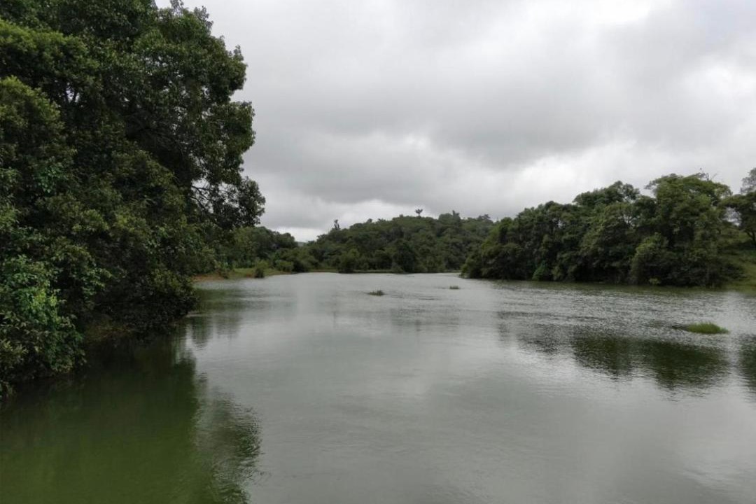 Photo of Others in Stuart Hill