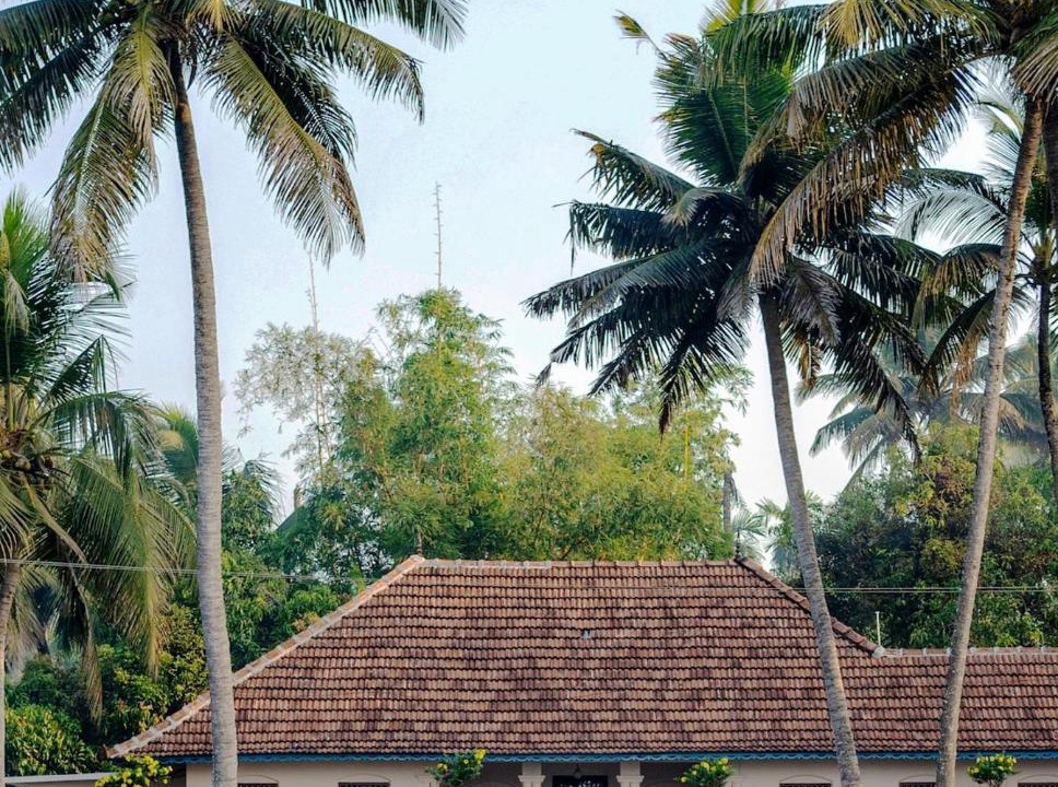 Photo of Others in Kainakary
