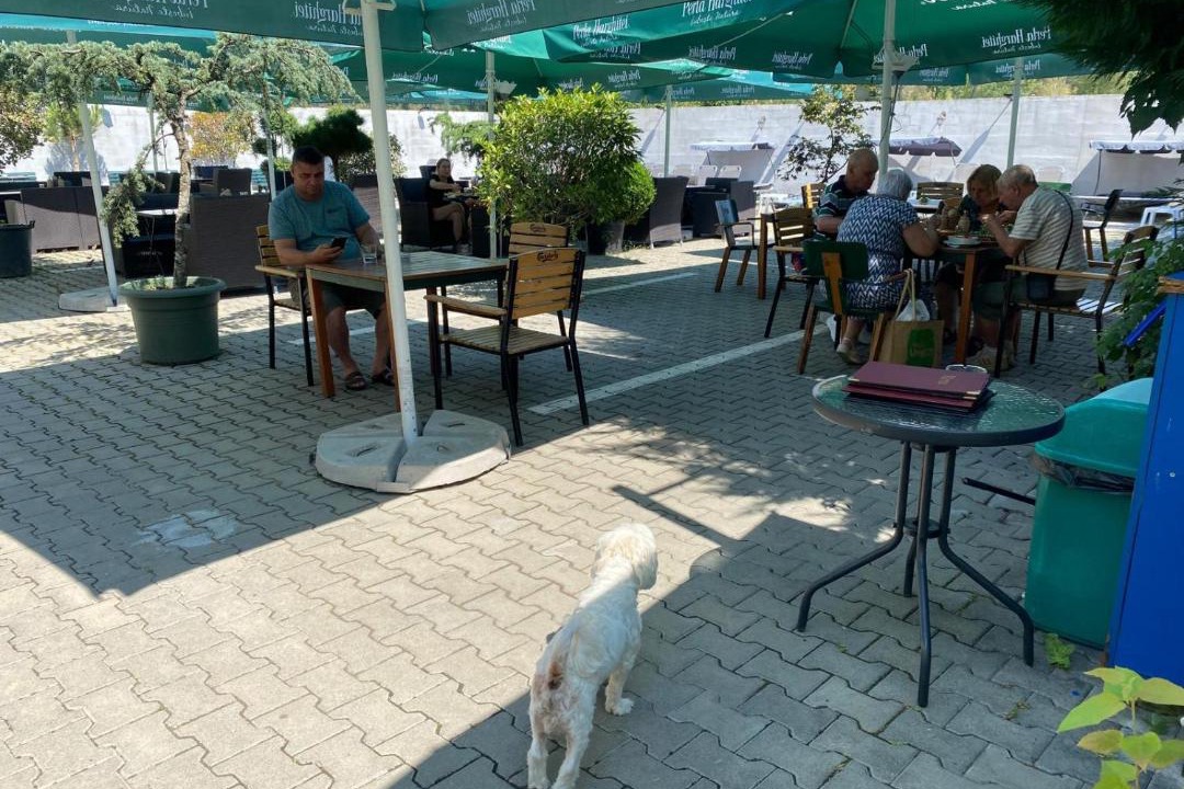 Photo of Others in Calimanesti