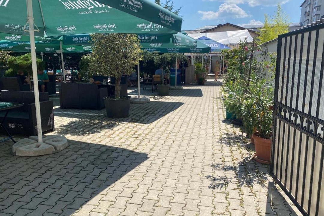 Photo of Others in Calimanesti