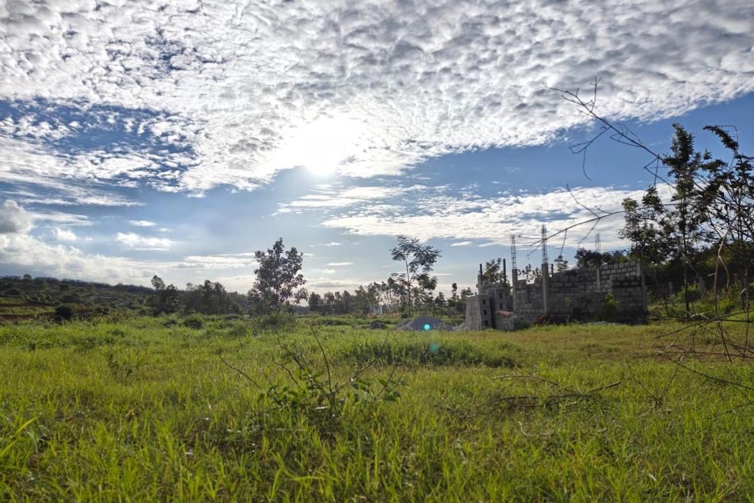 Photo of Others in Denkanikota