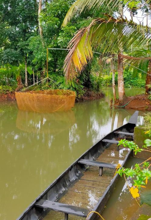 Photo of Others in Arpookara
