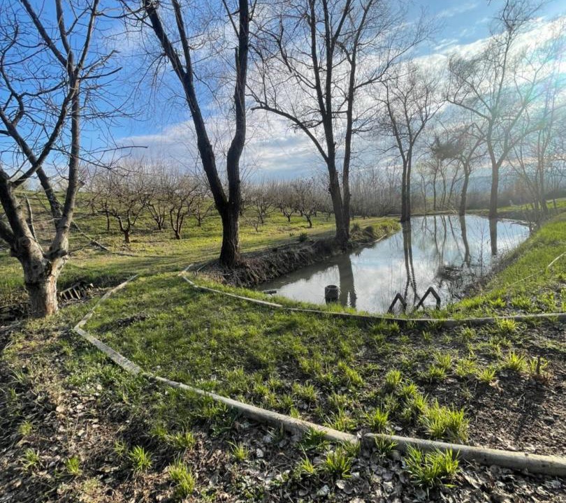 Photo of Others in Valcea