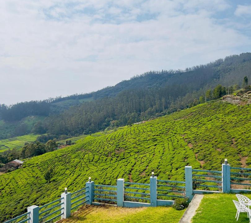 Photo of Others in Ooty