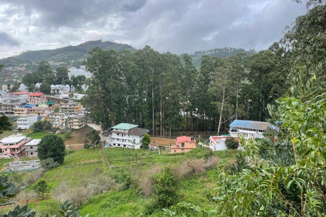 Photo of Others in Kodaikanal