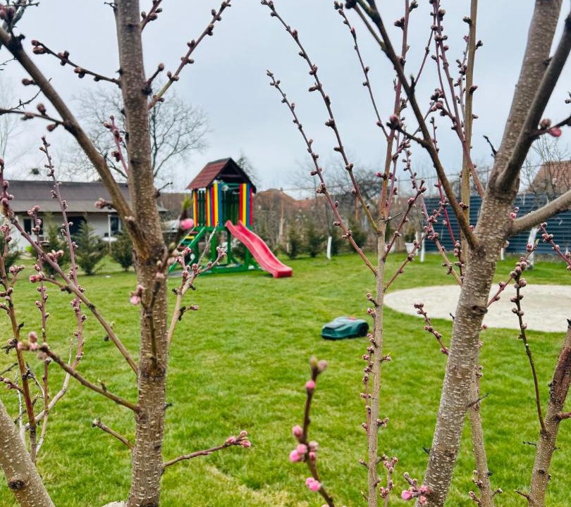 Photo of Outdoor in Dragus