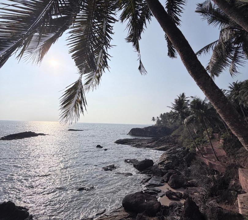 Photo of Others in Kannur