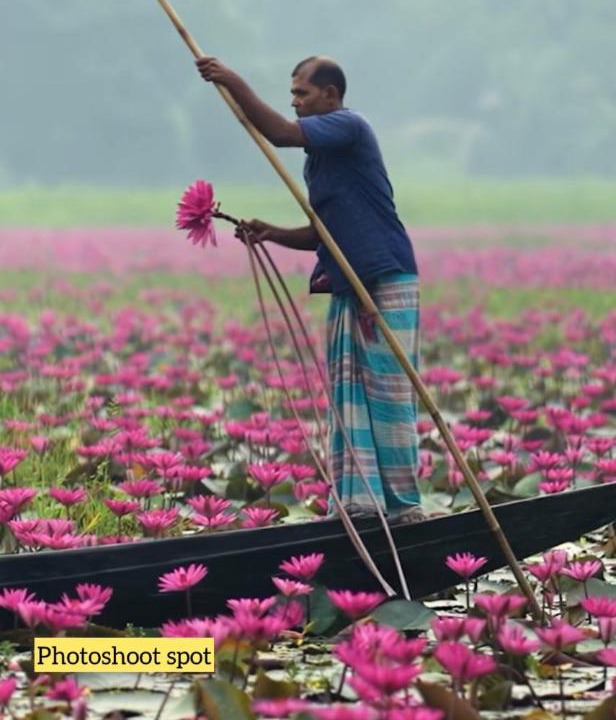 Photo of Others in Kannur