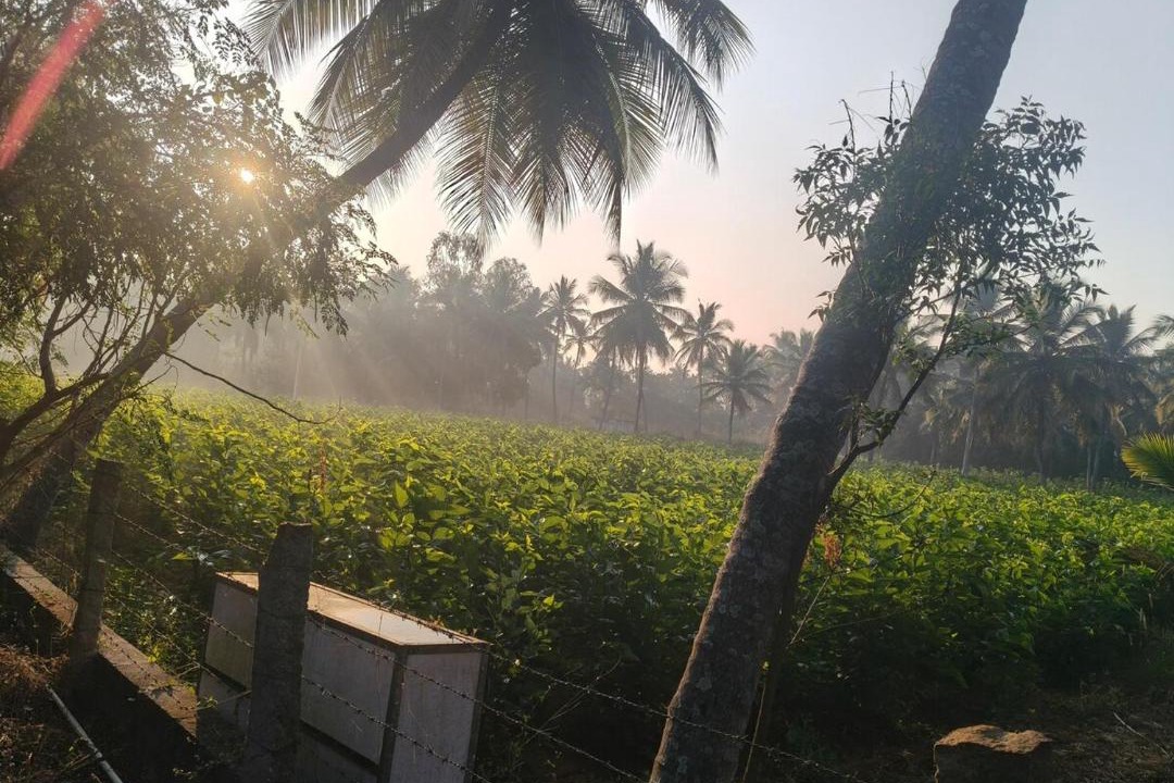 Photo of Others in Belakavadi