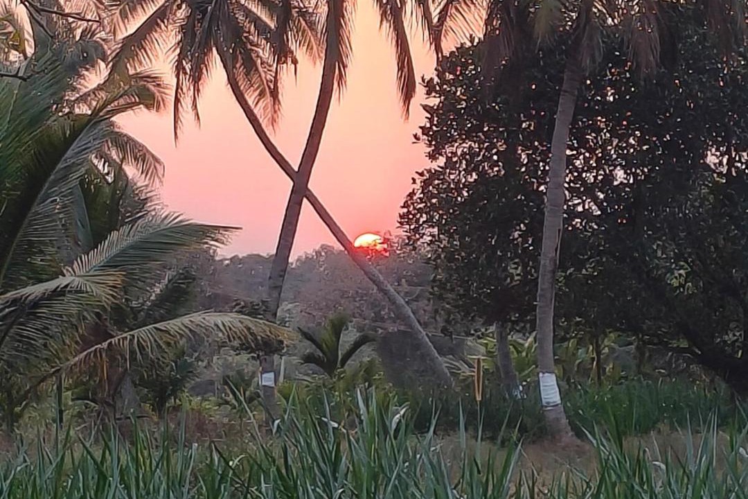 Photo of Others in Belakavadi