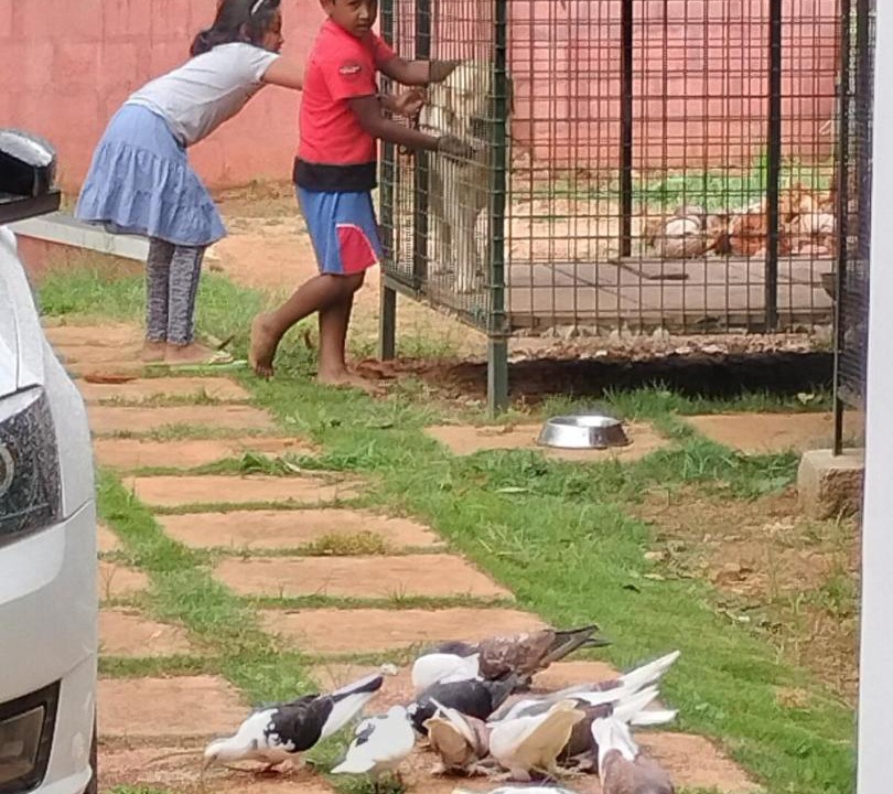 Photo of Others in Belakavadi