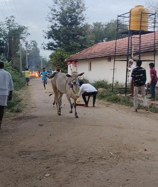 Photo of Others in Belakavadi