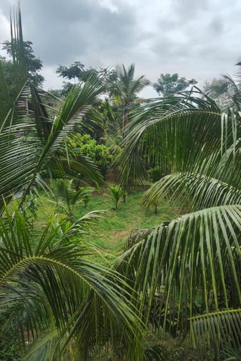 Photo of Others in Kanakapura