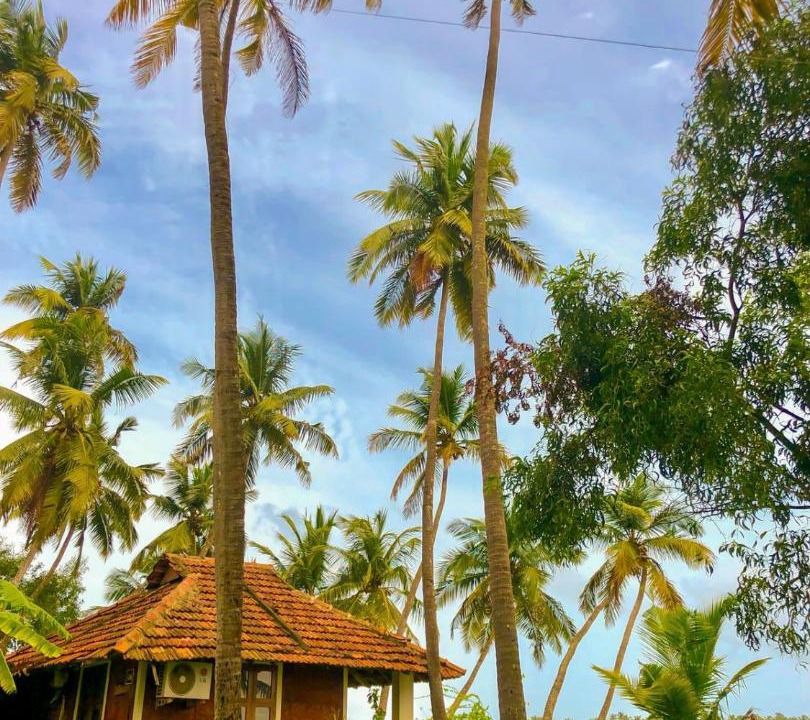 Photo of Others in Kasaragod District