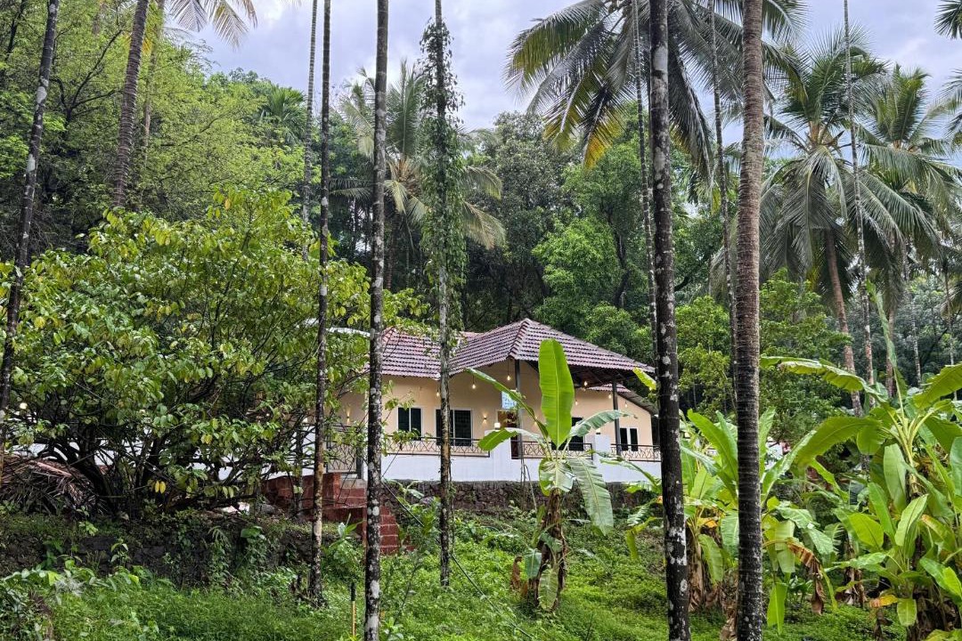 Photo of Others in Talipparamba