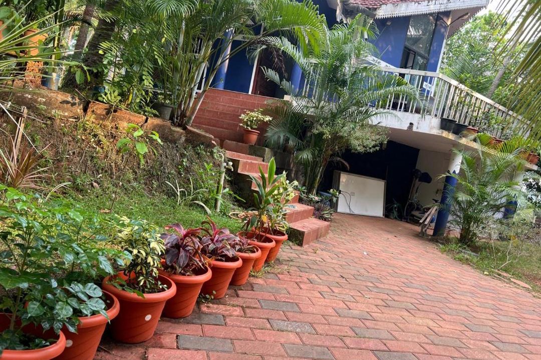 Photo of Others in Kozhikode