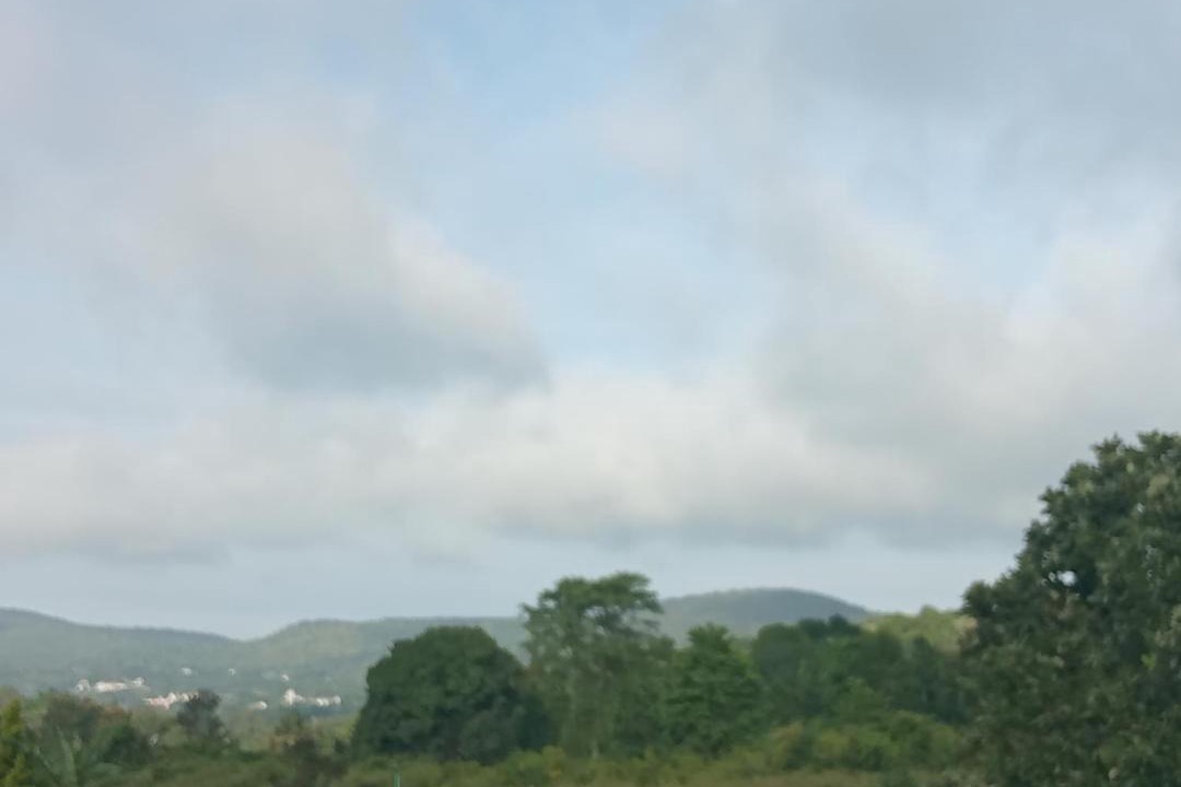 Photo of Others in Yelagiri