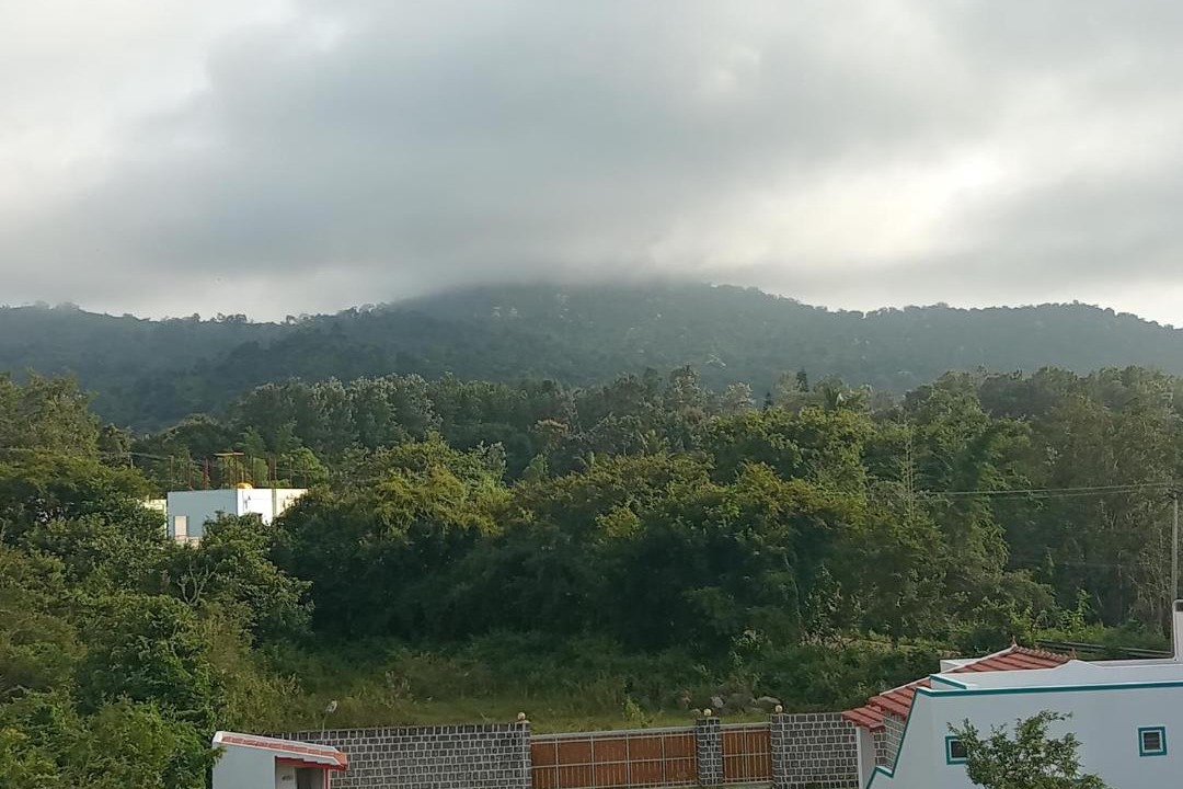 Photo of Others in Yelagiri